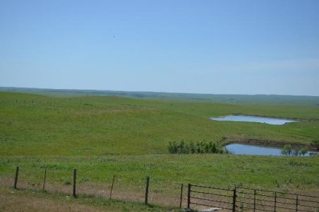 The Kansas Prairie - Our Beginning and Our Future Image